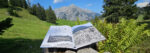 Buch auf der Alm